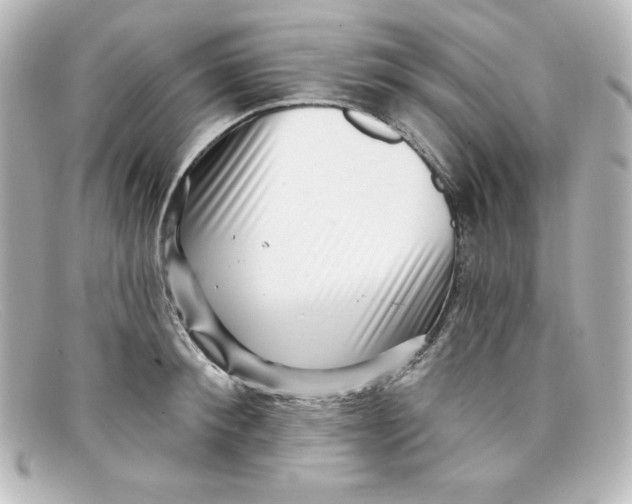 X0000098150900200805081039