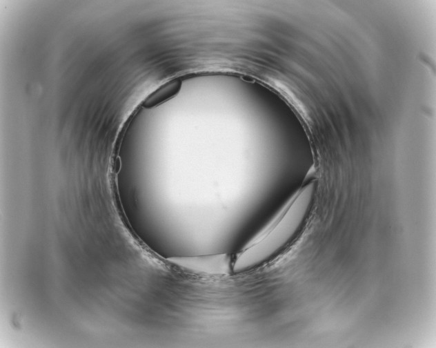 X0000098150901200805081039
