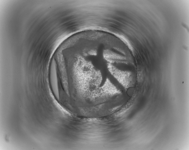 X0000098150903200805081039
