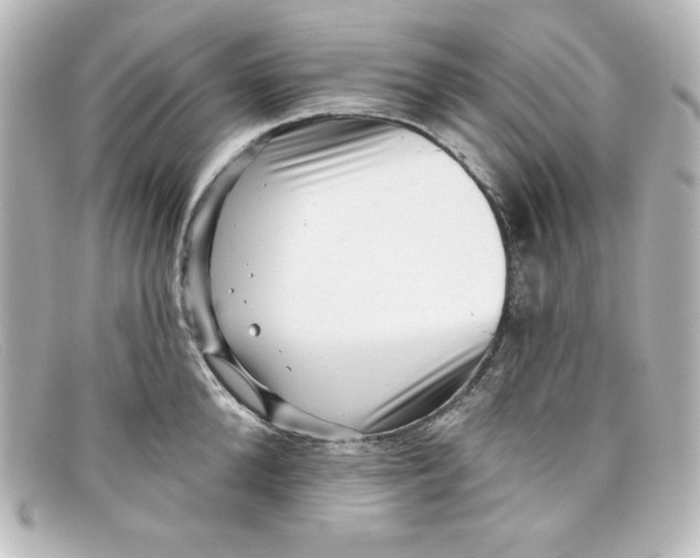X0000098150904200805081039