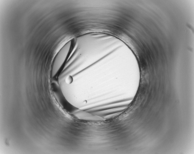 X0000098150906200805081039