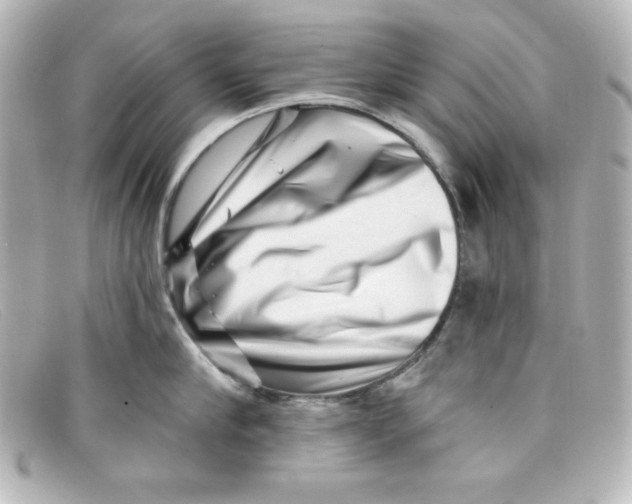 X0000098150910200805081039