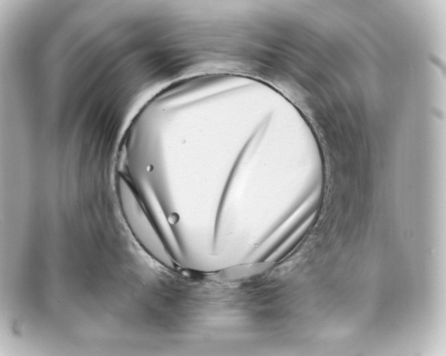 X0000098150912200805081039