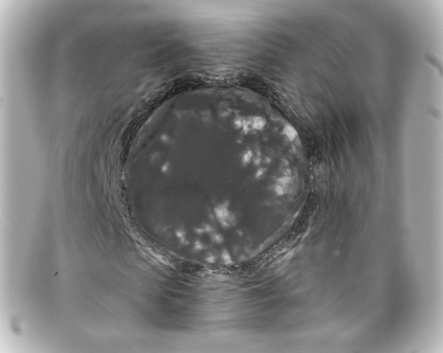 X0000098150913200805081038