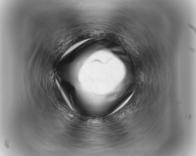X0000098150914200805081038
