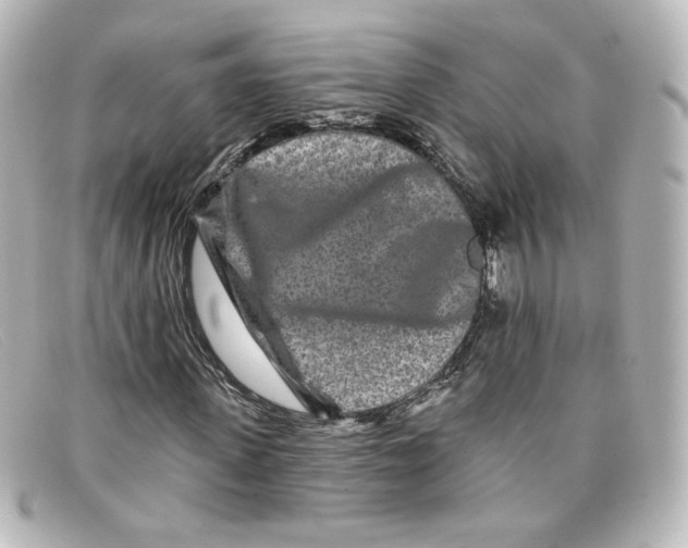 X0000098150915200805081038