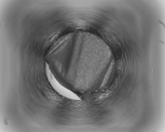 X0000098150916200805081038