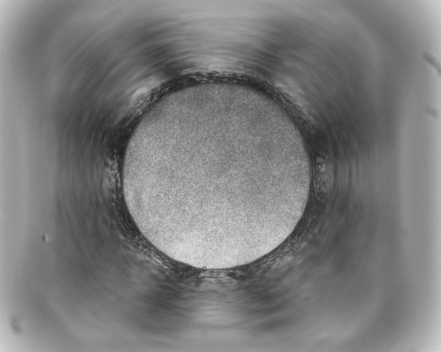 X0000098150918200805081038
