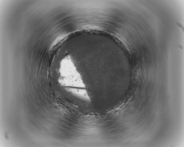 X0000098150919200805081038