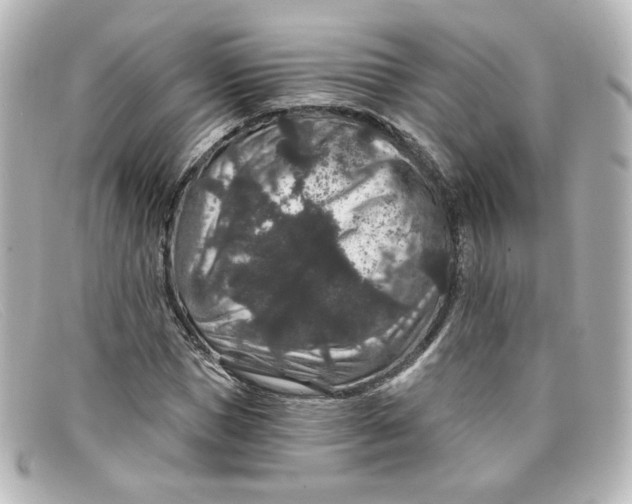 X0000098150921200805081038