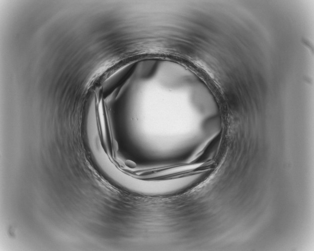 X0000098150922200805081038