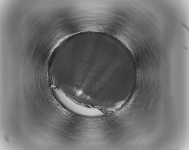X0000098150923200805081038