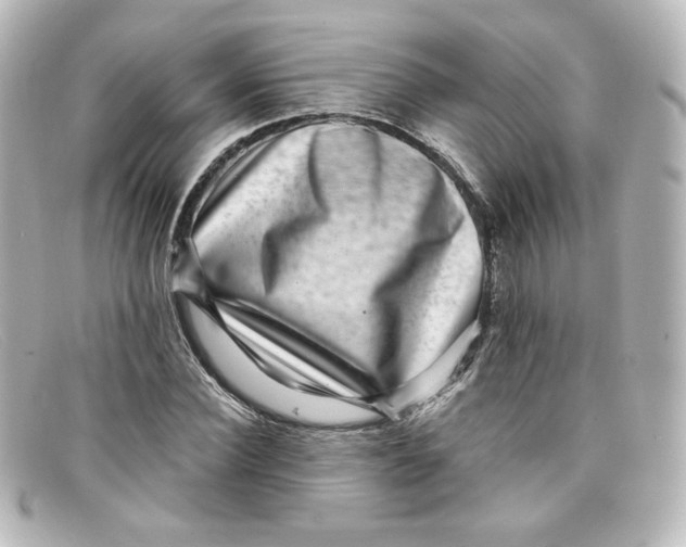 X0000098150924200805081038