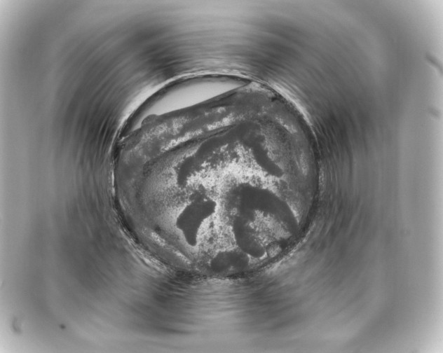X0000098150925200805081038