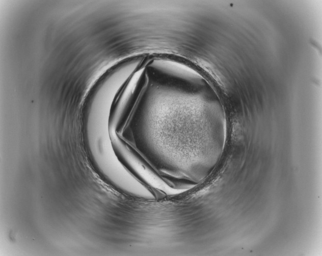 X0000098150926200805081038