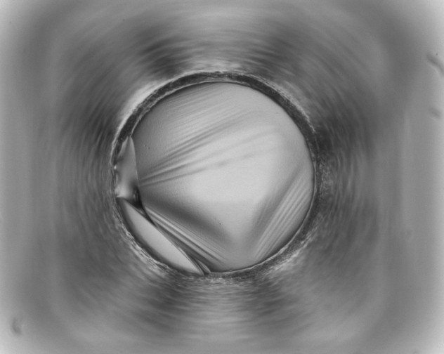 X0000098150927200805081038