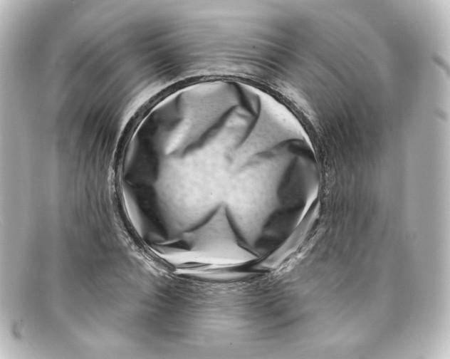X0000098150928200805081039