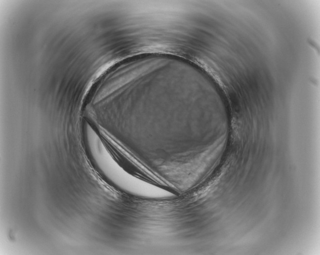 X0000098150931200805081039