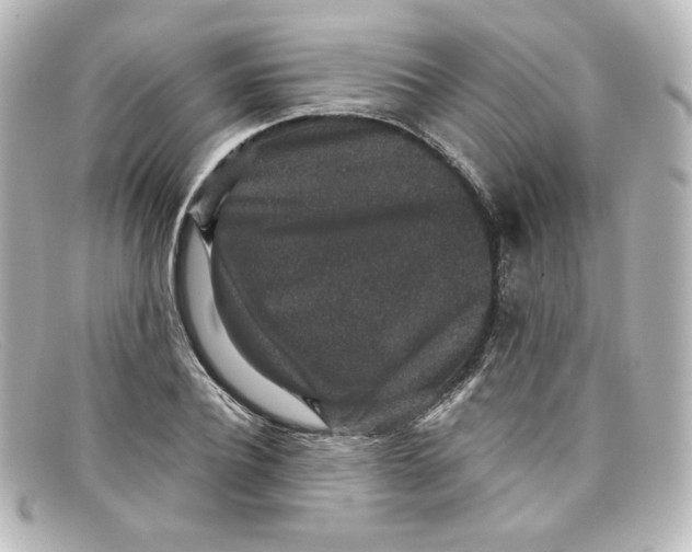 X0000098150932200805081039