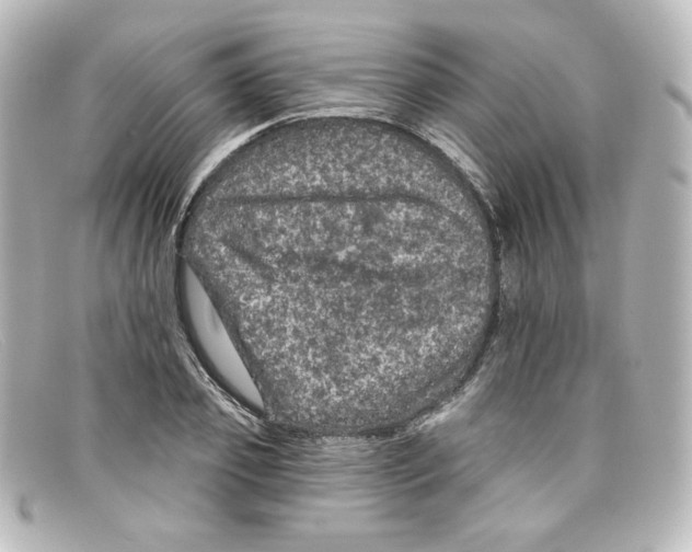 X0000098150933200805081039