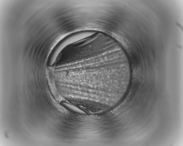 X0000098150934200805081039