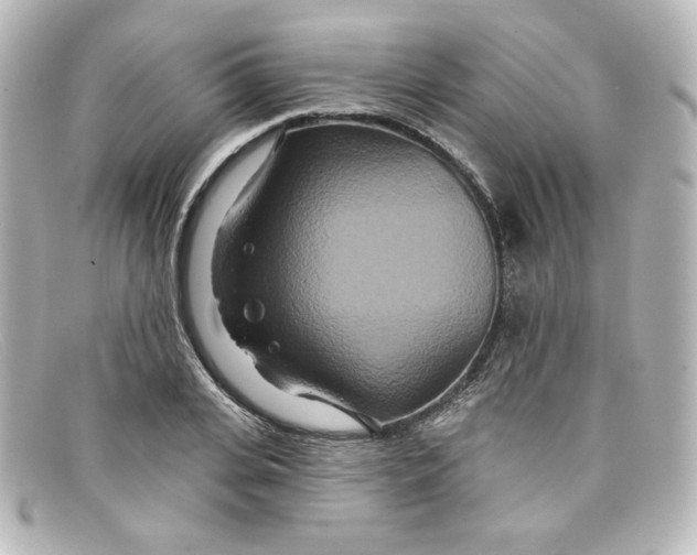 X0000098150935200805081039