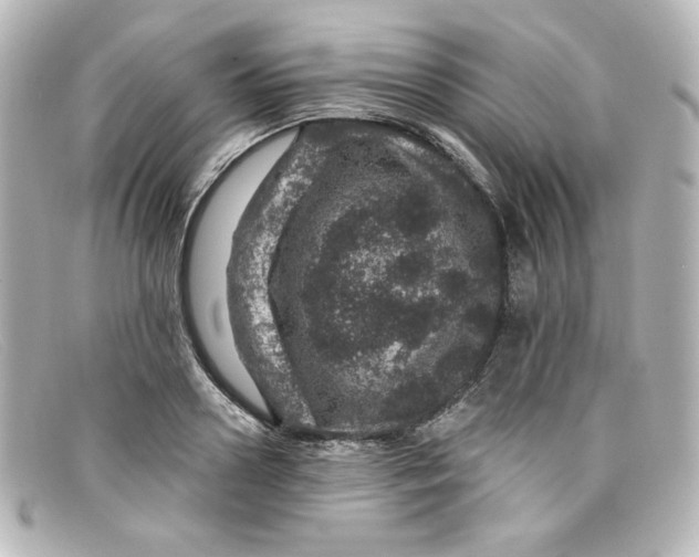 X0000098150938200805081039
