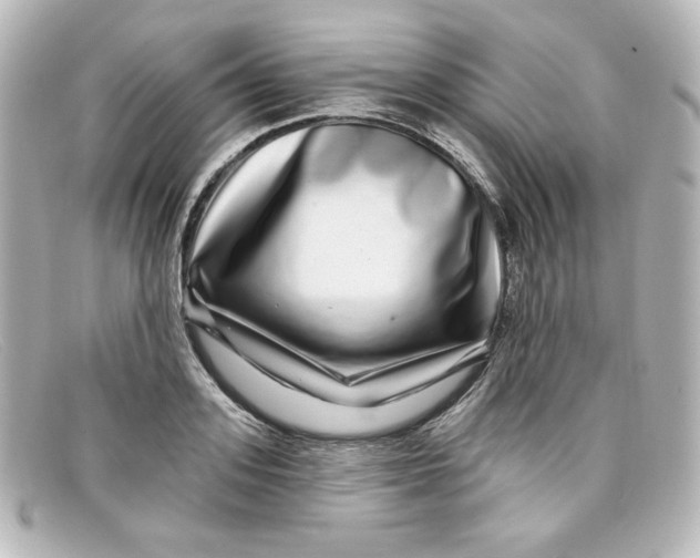X0000098150939200805081039