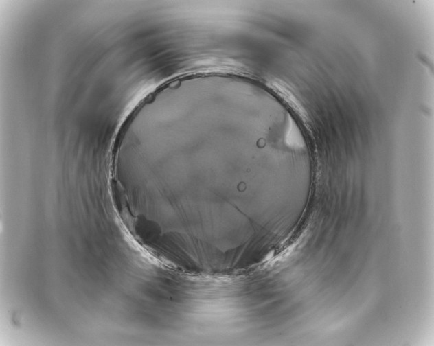 X0000098150941200805081039