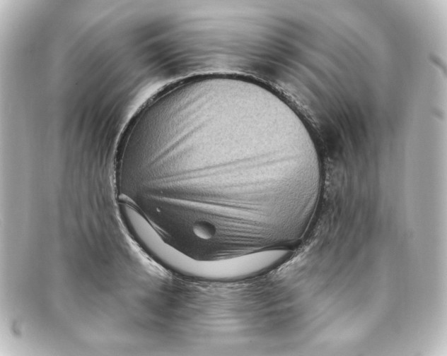 X0000098150942200805081039