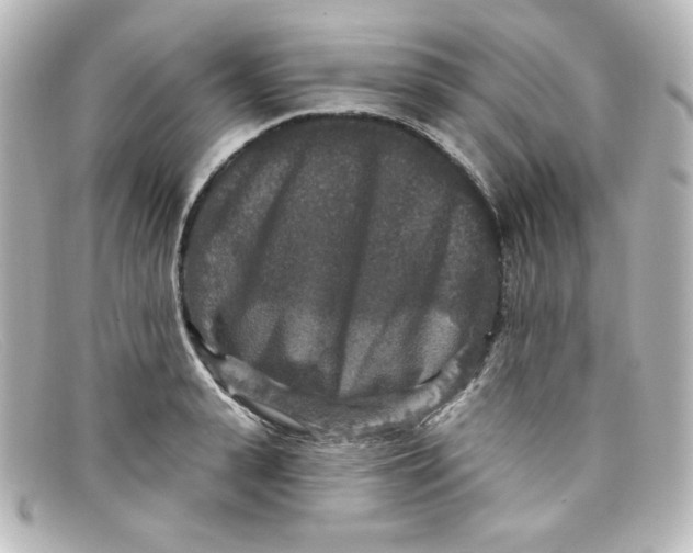 X0000098150943200805081039