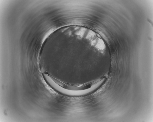 X0000098150944200805081039