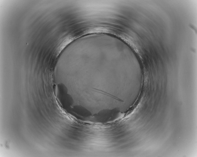 X0000098150945200805081039