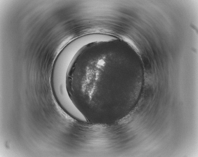 X0000098150946200805081039