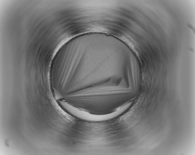 X0000098150947200805081039