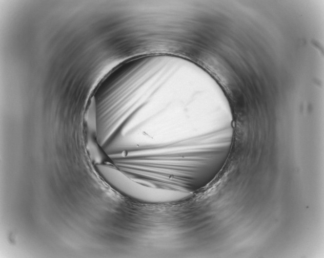 X0000098150948200805081039