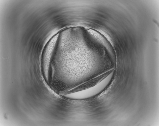 X0000098150949200805081039