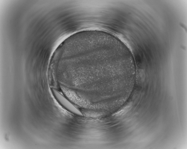 X0000098150951200805081039
