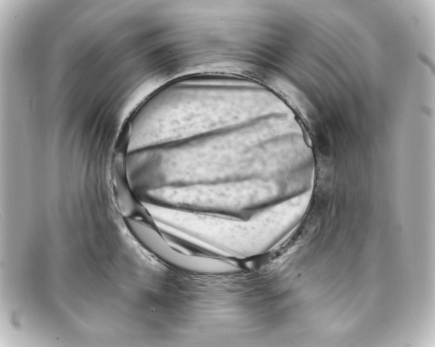 X0000098150952200805081039