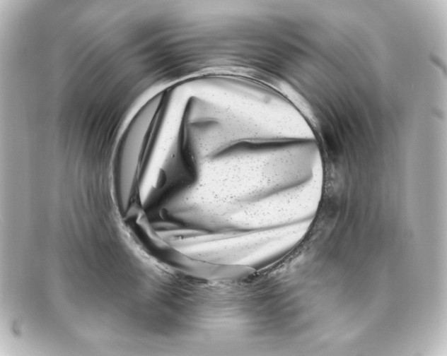 X0000098150955200805081039