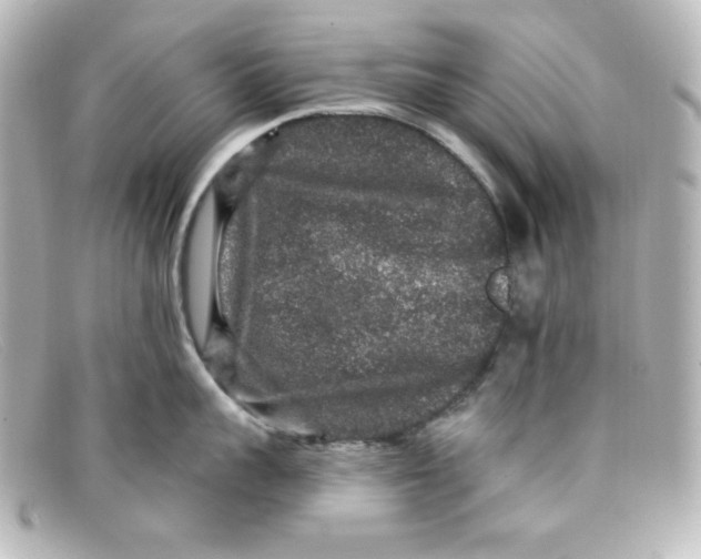 X0000098150959200805081039