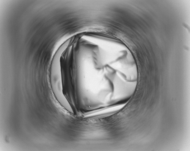 X0000098150960200805081039