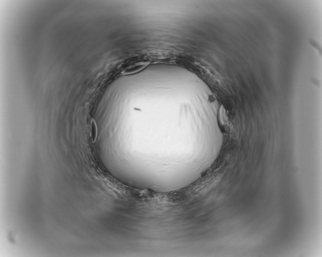 X0000098150961200805081038