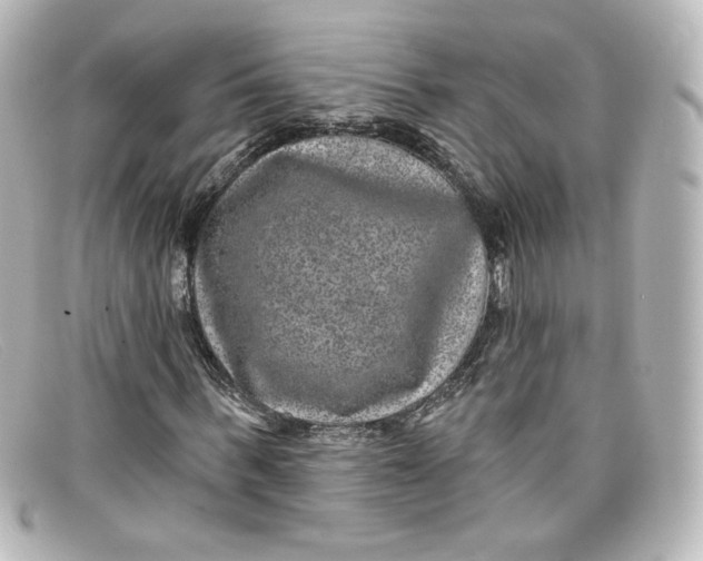 X0000098150963200805081038