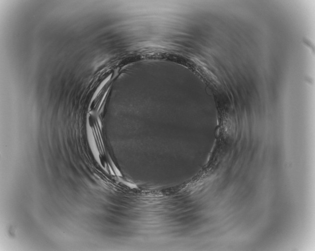 X0000098150964200805081038