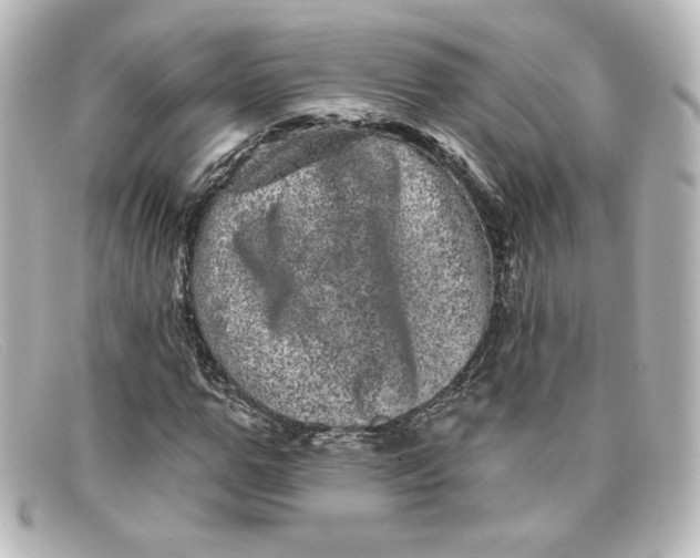 X0000098150967200805081038