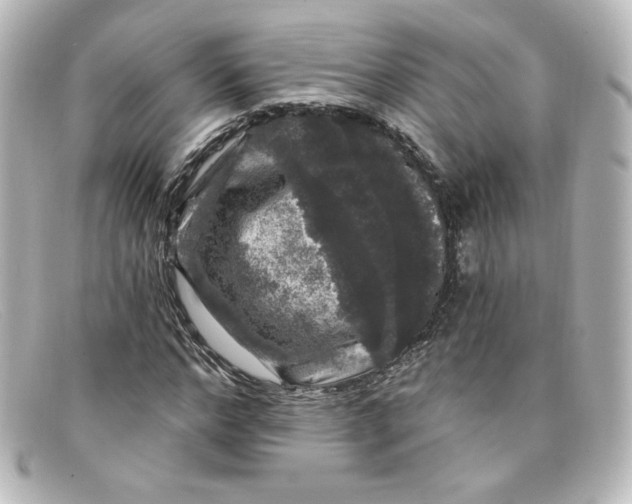 X0000098150968200805081038