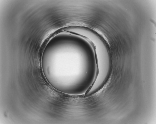X0000098150973200805081038
