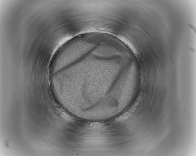 X0000098150974200805081038