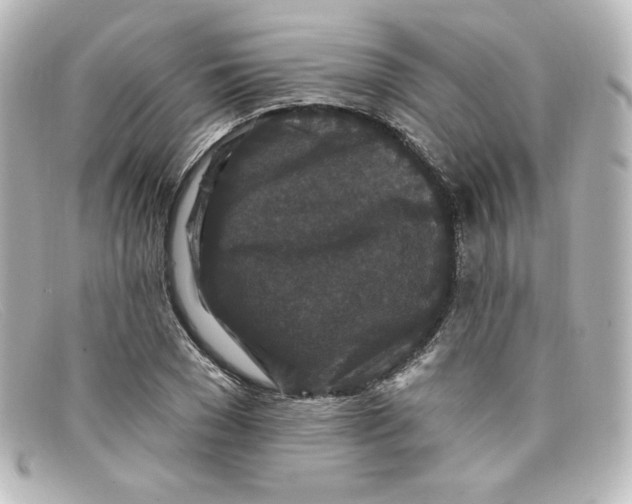 X0000098150977200805081038